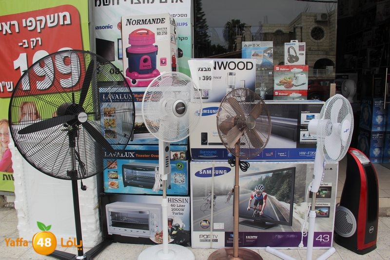 adam electric (20).JPG